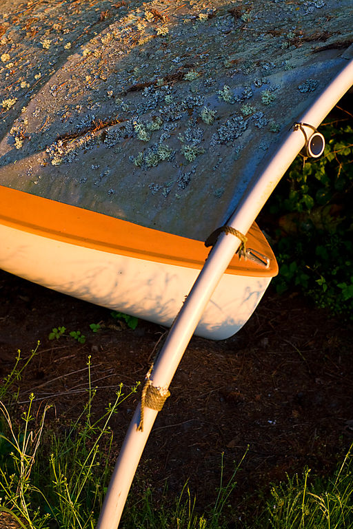 a boat and lichen