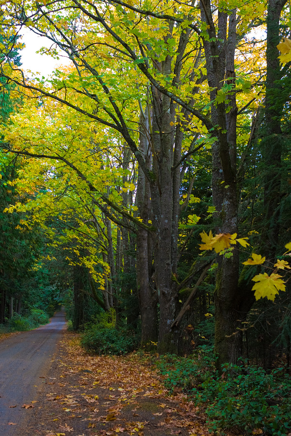 San Juan Islands, 16 October 2009