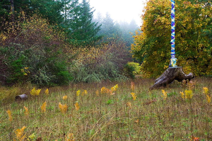 San Juan Islands, 17 October 2008