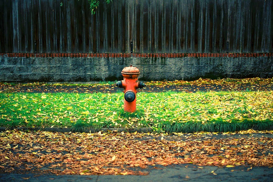 Portland, 25 October 2009