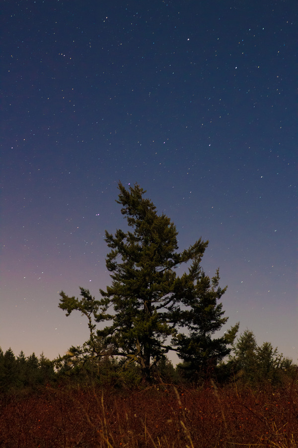San Juan Islands, 26 December 2009