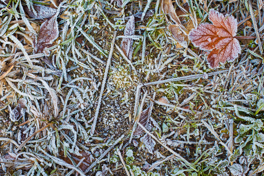 San Juan Islands, 27 December 2009