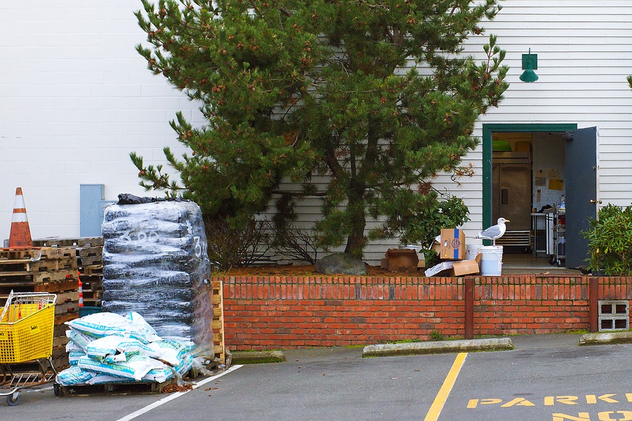 Port Townsend, 30 December 2009