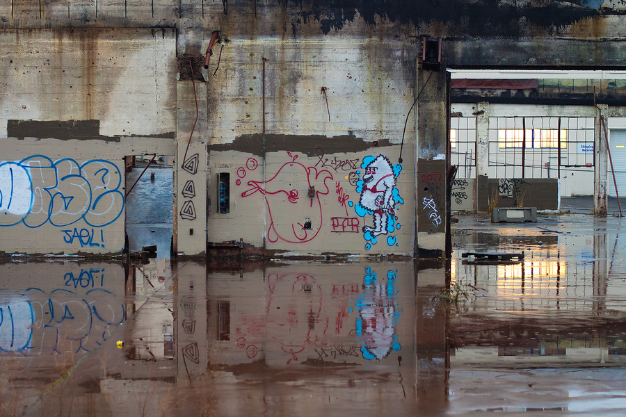 Portland, 5 January 2010