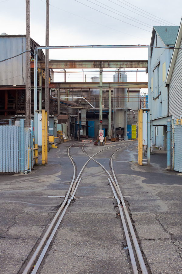 Portland, 8 January 2010