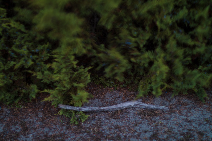 San Juan Islands, 8 October 2010