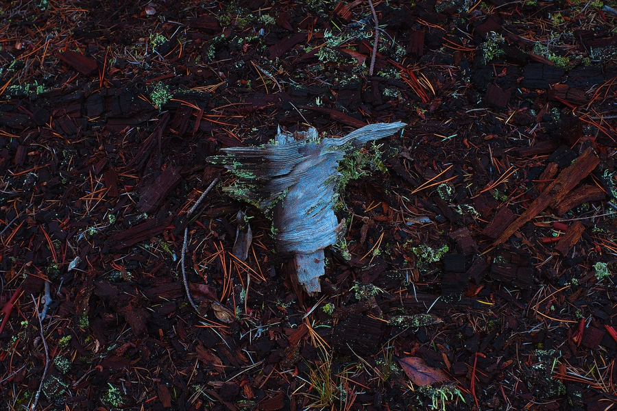 San Juan Islands, 27 October 2010