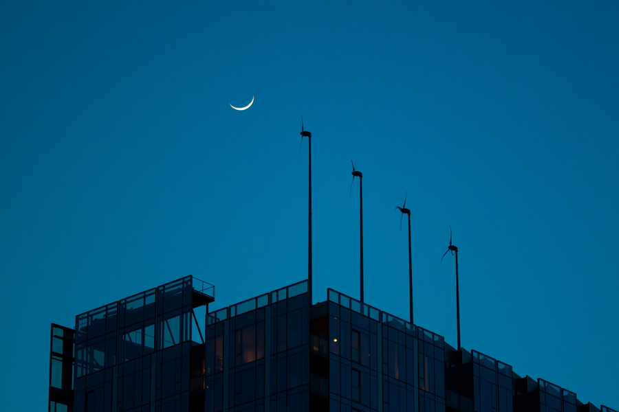 Portland, 16 February 2010