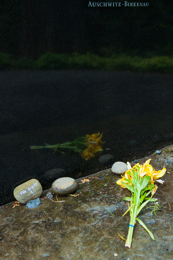 Portland, 4 May 2010