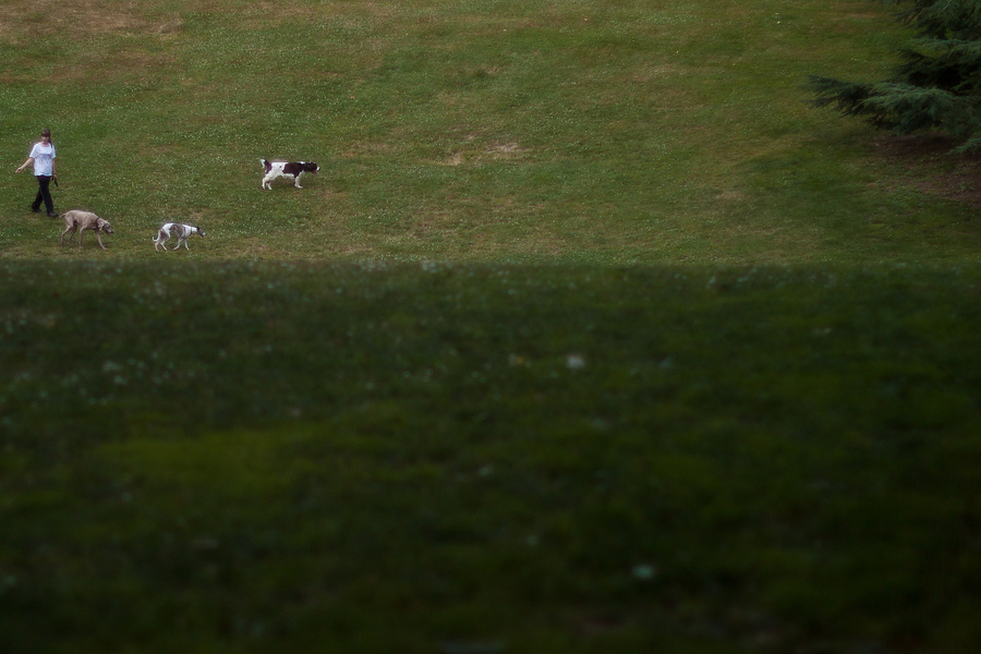 Portland, 1 August 2010